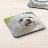 Dessous-de-verre Chien maltais blanc (Côté gauche)