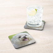 Dessous-de-verre Chien maltais blanc (Côté Droit)