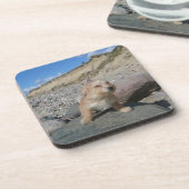 Dessous-de-verre Chien mignon à la plage (Côté gauche)