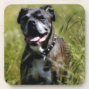 Dessous-de-verre Chien mignon dans l'herbe