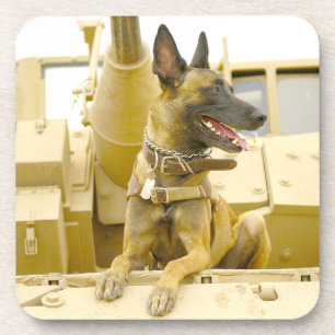 DESSOUS-DE-VERRE CHIEN MILITAIRE DE TRAVAIL