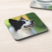 Dessous-de-verre Chien noir et blanc à la frontière (Côté gauche)