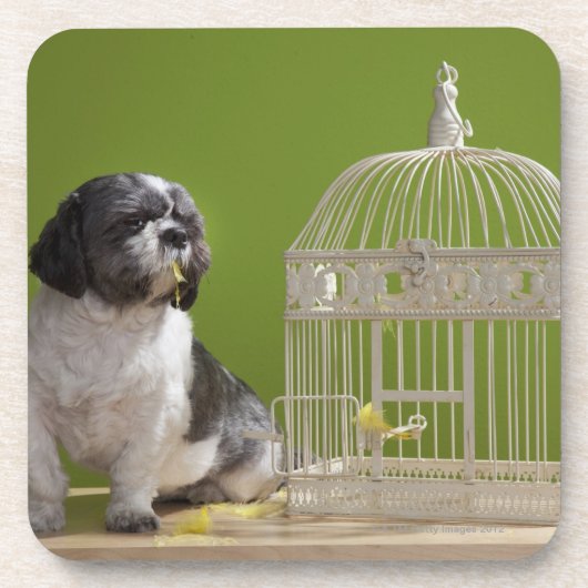 Dessous-de-verre Chien près d'une cage à oiseaux (Devant)