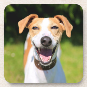 Dessous-de-verre Chien riant des images de Getty