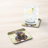 Dessous-de-verre Chien Rottweiler (Côté Droit)