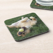 Dessous-de-verre Chien s'étendant upside-down dans l'herbe avec de (Côté gauche)