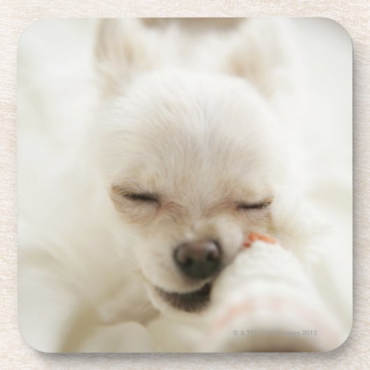 Dessous-de-verre Chien tenant le jouet dans la bouche (Devant)