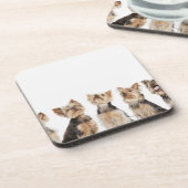 Dessous-de-verre Chiens identiques se reposant ensemble (Côté gauche)