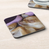 Dessous-de-verre Chihuahua endormi (Côté gauche)