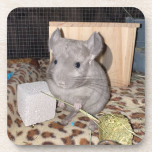 Dessous-de-verre Chinchilla
