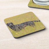 Dessous-de-verre Chiot 16 mois (Côté gauche)