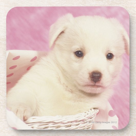 Dessous-de-verre Chiot 5 (Devant)