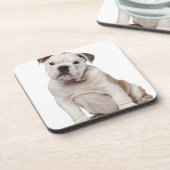 Dessous-de-verre Chiot anglais de bouledogue (2 mois) (Côté gauche)