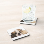 Dessous-de-verre Chiot anglais de bouledogue (4 mois) et guine deux (Côté Droit)