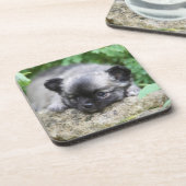 Dessous-de-verre Chiot aux cheveux longs de chiwawa (Côté gauche)