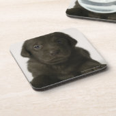 Dessous-de-verre Chiot Brown, portrait, plan rapproché (Côté gauche)