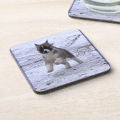 Dessous-de-verre Chiot d'Akita (Côté gauche)