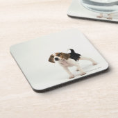 Dessous-de-verre Chiot de beagle (Côté gauche)