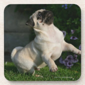 Dessous-de-verre Chiot de carlin de faon (Devant)