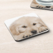 Dessous-de-verre Chiot de golden retriever (20 semaines de) (Côté gauche)