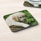 Dessous-de-verre Chiot de golden retriever dans le panier (Côté gauche)
