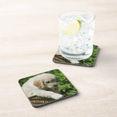 Dessous-de-verre Chiot de golden retriever dans le panier (Côté Droit)