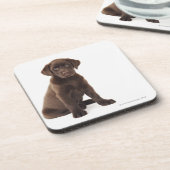 Dessous-de-verre Chiot de labrador retriever de chocolat (Côté gauche)