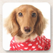 Dessous-de-verre Chiot de teckel utilisant l'équipement de (Devant)