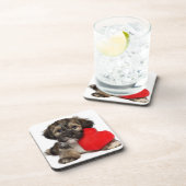 Dessous-de-verre Chiot de Valentine Havanese d'amant (Côté Droit)