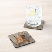 Dessous-de-verre chiot de vizsla (Côté Droit)