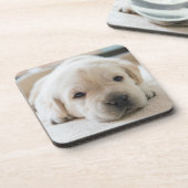 Dessous-de-verre Chiot doré du Labrador doré (Côté gauche)