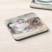 Dessous-de-verre Chiot et chat de bébé (Côté gauche)