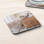 Dessous-de-verre Chiot et lapin (Côté gauche)