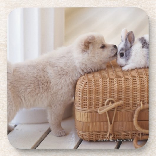 Dessous-de-verre Chiot et lapin (Devant)