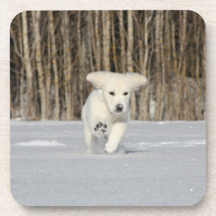 Dessous-de-verre Chiot Golden Retriever blanc dans la neige