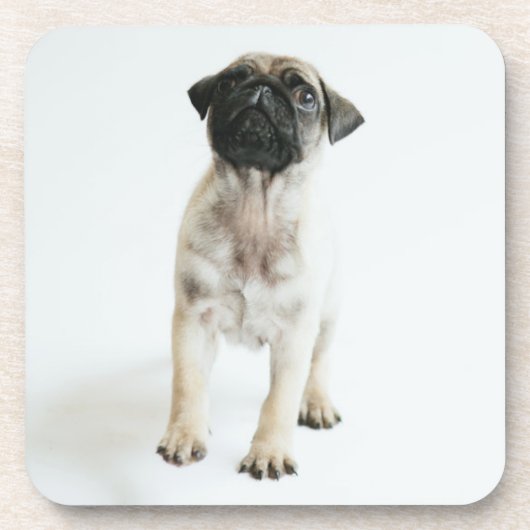 Dessous-de-verre Chiot mignon de carlin (Devant)