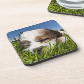 Dessous-de-verre Chiot mignon en parc, Vancouver, AVANT JÉSUS (Côté gauche)