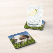 Dessous-de-verre Chiot mignon en parc, Vancouver, AVANT JÉSUS (Côté Droit)