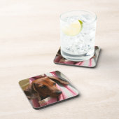 Dessous-de-verre chiot miniature Lisse-haired de teckel (Côté Droit)