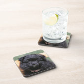 Dessous-de-verre Chiot noir de Pomeranian (Côté Droit)