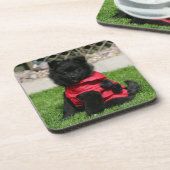 Dessous-de-verre Chiot noir de Pomeranian regardant (Côté gauche)