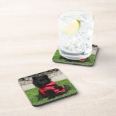 Dessous-de-verre Chiot noir de Pomeranian regardant (Côté Droit)