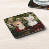 Dessous-de-verre Chiots de chiwawa (Côté gauche)