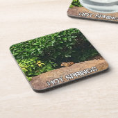 Dessous-de-verre Chipmunk dans les sources chaudes (Côté gauche)