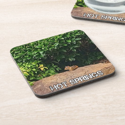 Dessous-de-verre Chipmunk dans les sources chaudes (Côté gauche)