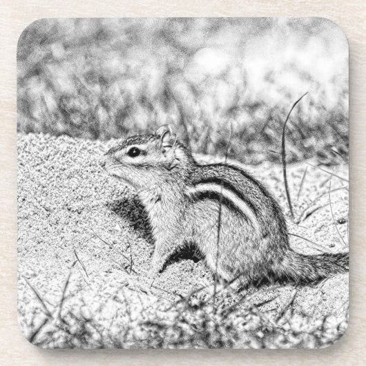 Dessous-de-verre Chipmunk Sketch (Devant)
