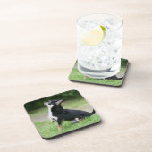 Dessous-de-verre Chiwawa noir et crème (Côté Droit)