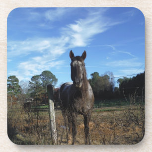 Dessous-de-verre Chocolat au lait Cheval Brown en bleu