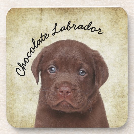 Dessous-de-verre Chocolat Labrador (Devant)