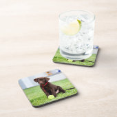 Dessous-de-verre Chocolat Labrador Puppy Avec Tennis Ball (Côté Droit)
